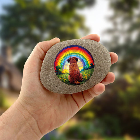 Rainbow Border Terrier Pebble